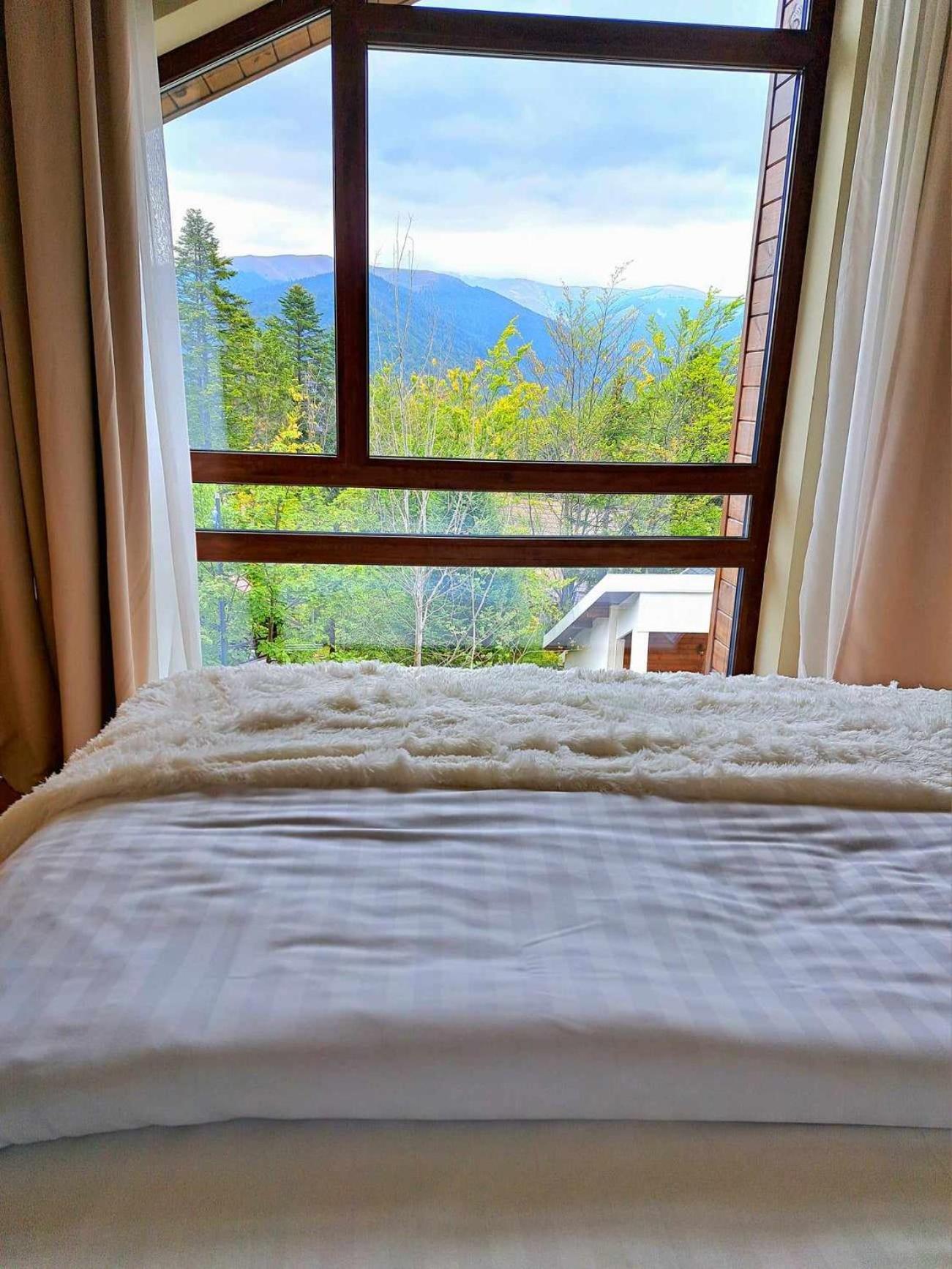 The Rock Sinaia